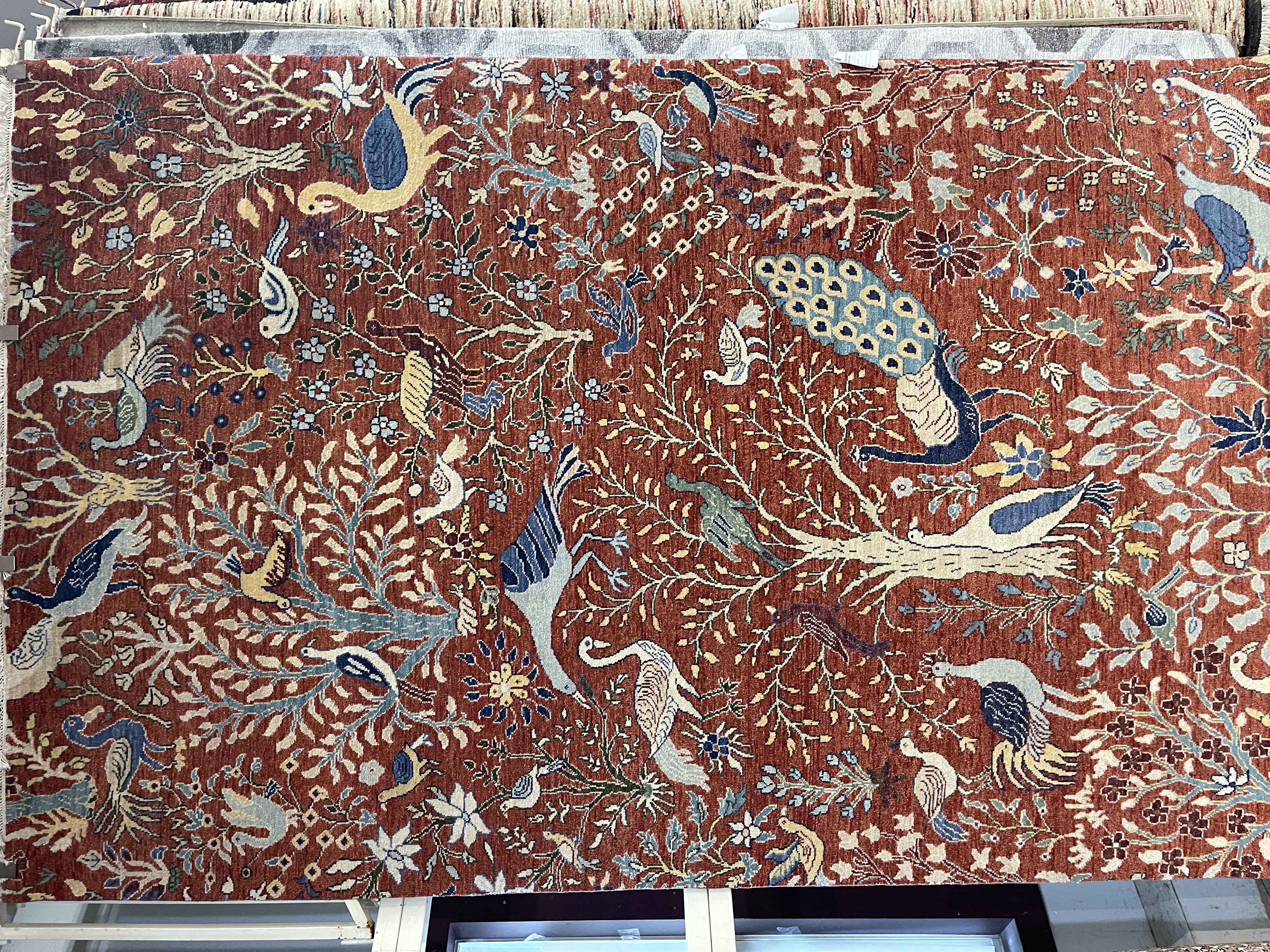 Birds of Paradise - F-1170, India