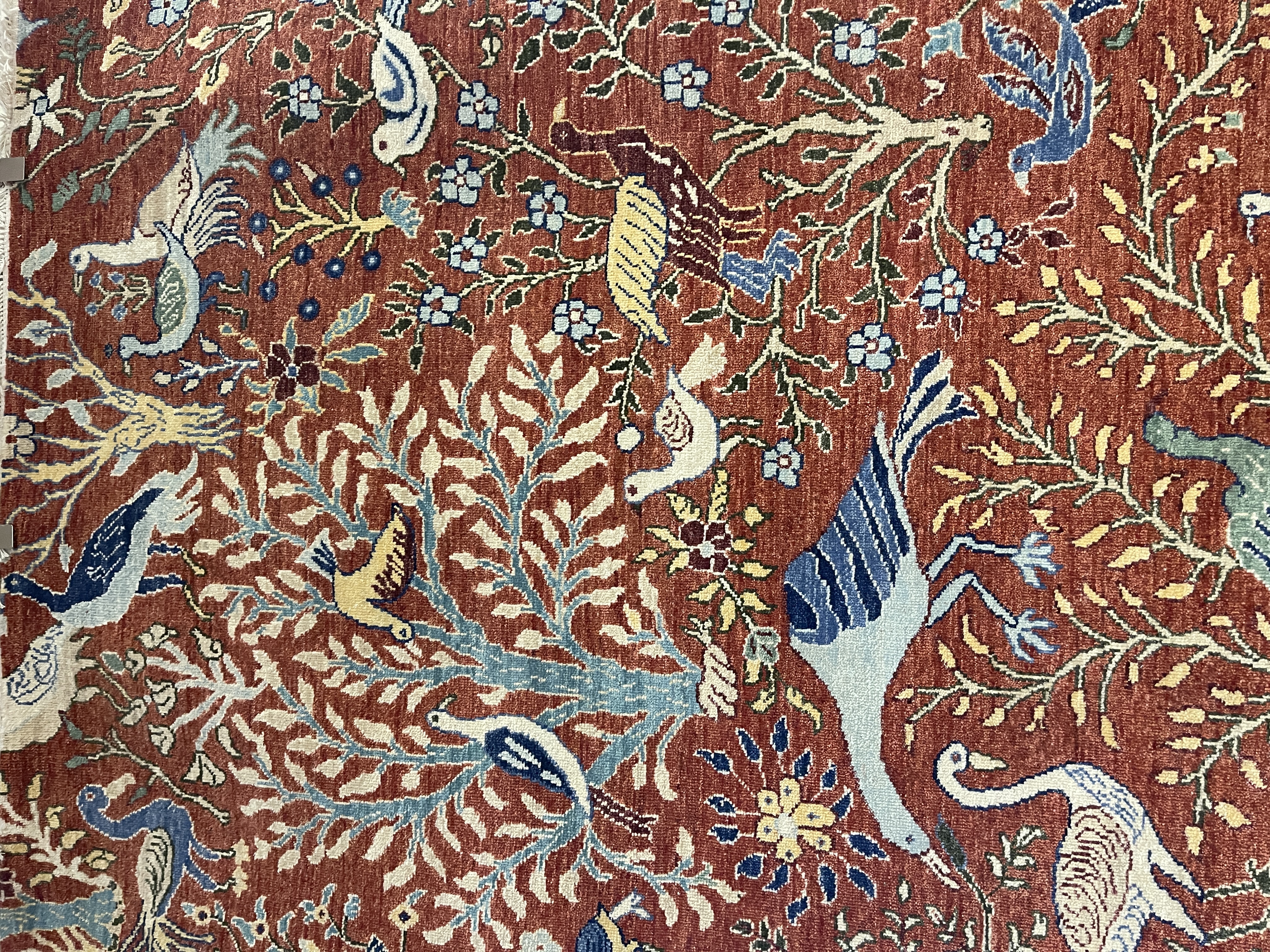 Birds of Paradise - F-1170, India rug, 6' x 9' - photo 2