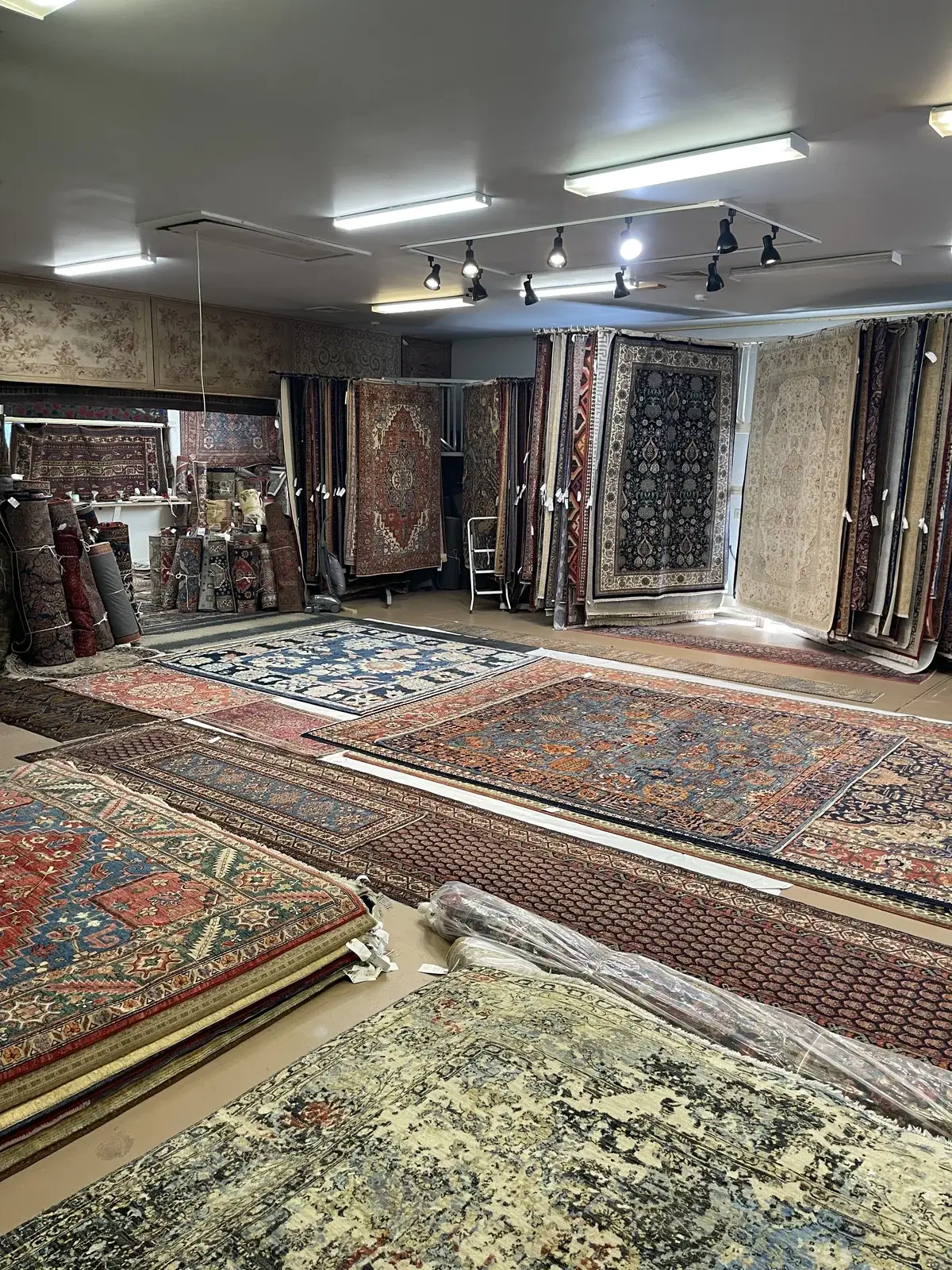 Rugs displayed across the Woodbury gallery
